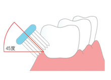歯と歯茎の間に斜め45度ほどの角度で歯ブラシをあてます。