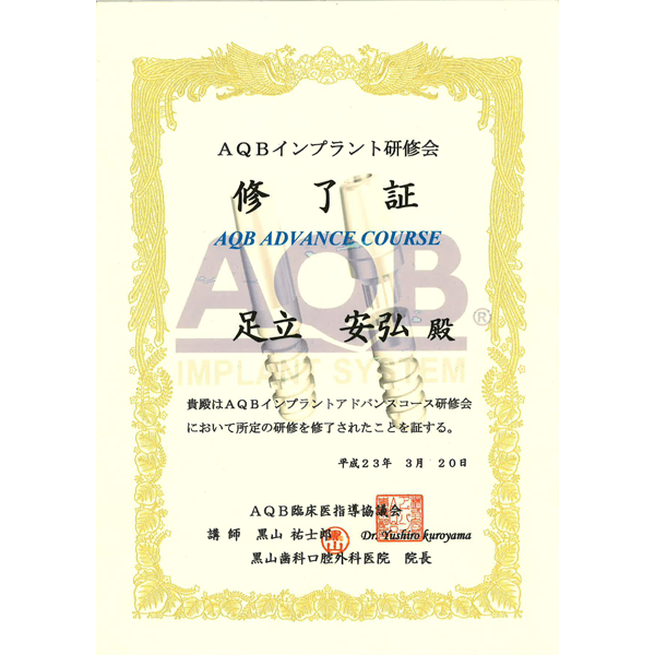 AQB Advance Course 修了